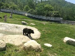 -西安秦岭野生动物园