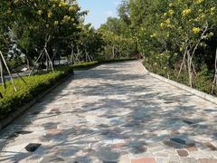-汕尾铜鼎山旅游区