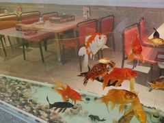-令狐冲烤鱼·烧菜馆(达明店)