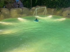 -杭州开元森泊度假乐园