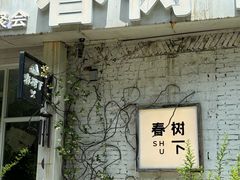 -春树下·树屋花房西餐厅(罍街AS1980店)