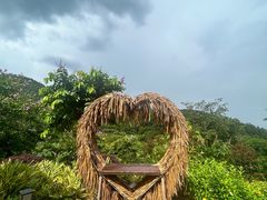 -广州白江湖森林公园