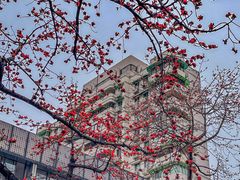 -烈士陵园(地铁站)