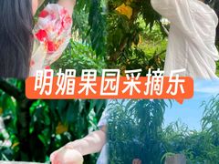 -老袁家蜜桃农场·阳山水蜜桃