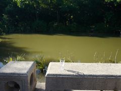 -福建鲤鱼洲酒店