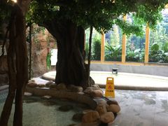 -御池园(顾村公园店)