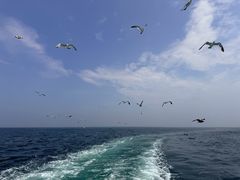 -海驴岛(荣成市)