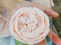 杯子蛋糕-BONCAKE裱花蛋糕(万象汇店)