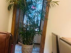-两棵枇杷树
