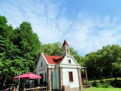 -上海共青森林公园