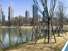 -后襄河公园