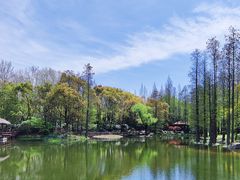 -上海滨江森林公园