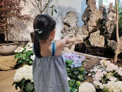 -双季花艺园艺市场(浦东店)