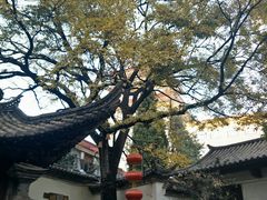 -石屏会馆