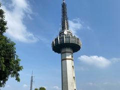 -MAMACHA妈妈茶(岳麓山店)