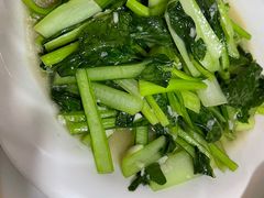 -煲来饱去冷水鱼