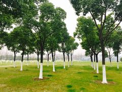 -无锡新湖铂尔曼大酒店