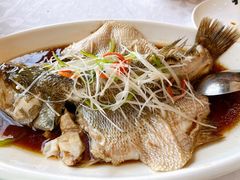 清蒸鲈鱼-金蝉食府(维吉奥广场店)