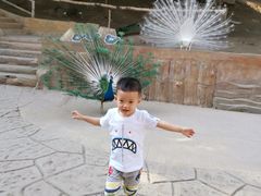 -哈尔滨北方森林动物园