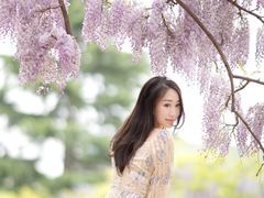 -嘉定紫藤园