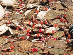 -一方渔歌蒸汽海鲜自助(文化路万达广场店)