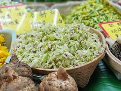 -五里多农博广场