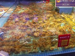 -驻海渔市(置信店)