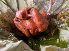 -梦幻奥陶纪景区