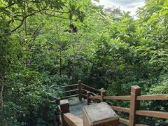 -广州市帽峰山景区