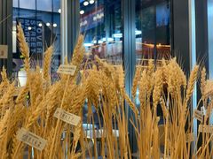 -OUR Bakery(三里屯太古里店)