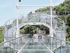 -亚龙湾热带天堂森林公园