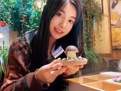 -大理董·董家小厨野生菌火锅(古城旗舰店)