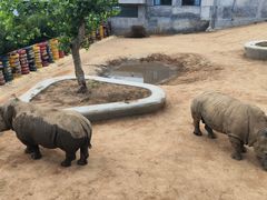 -西霞口神雕山野生动物世界