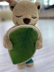 -恩舍瑜伽普拉提