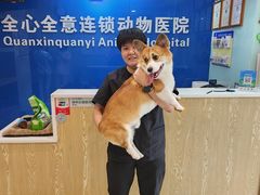 -全心全意连锁动物医院·特色中医诊疗(会城门分院)