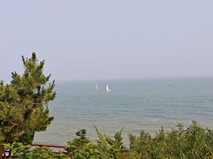 -燕儿岛山公园