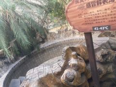 -龙达温泉生态城