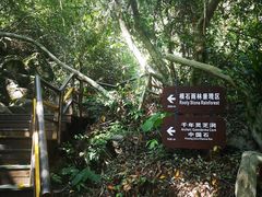 -呀诺达热带雨林
