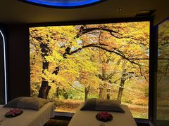 -亦辰亦美·泡澡 SPA 足浴 按摩公馆(牛王庙店)