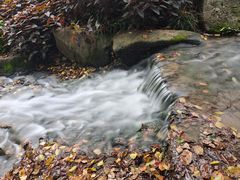 -中国茶叶博物馆(双峰馆区)