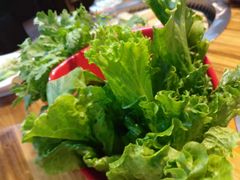 -三里屯土灶炖公鸡地锅鸡(江东店)