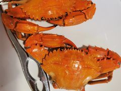 -赶海部落海鲜城(海阳路店)