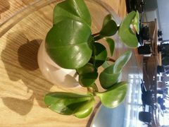 android_upload_pic-黛瓦里巷(南京东路店)