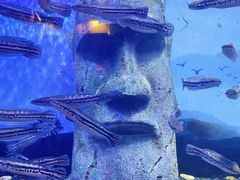 -南昌融创海世界