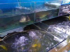 -大鹅岛灶台鱼·铁锅炖(水库路店)