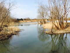 -长兴太湖图影湿地文化园