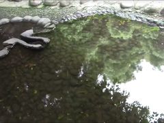-成都市活水公园