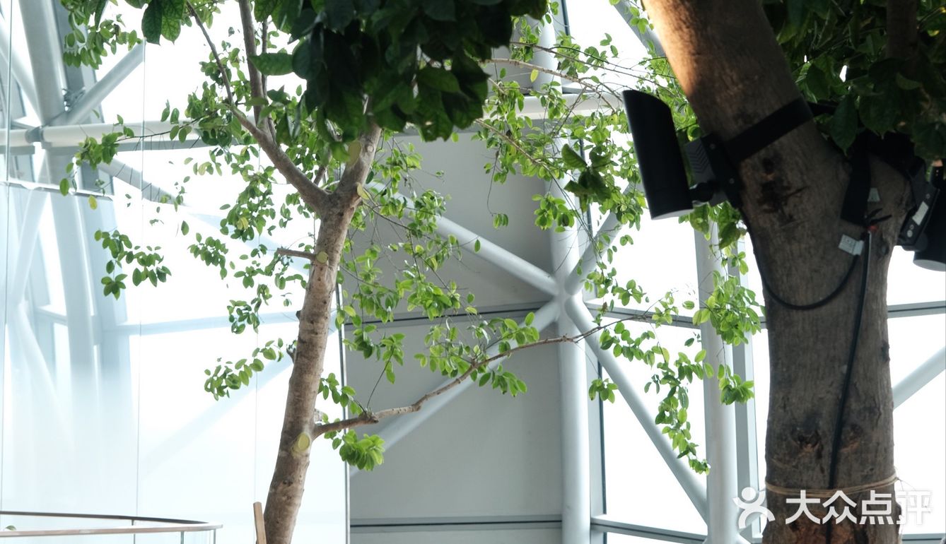 尽显建筑之美｜Intercontinental 重庆洲际