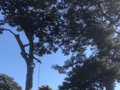 -妙峰山风景名胜区