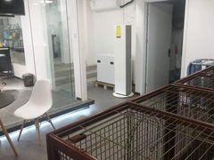 -宠物家(双井店)
